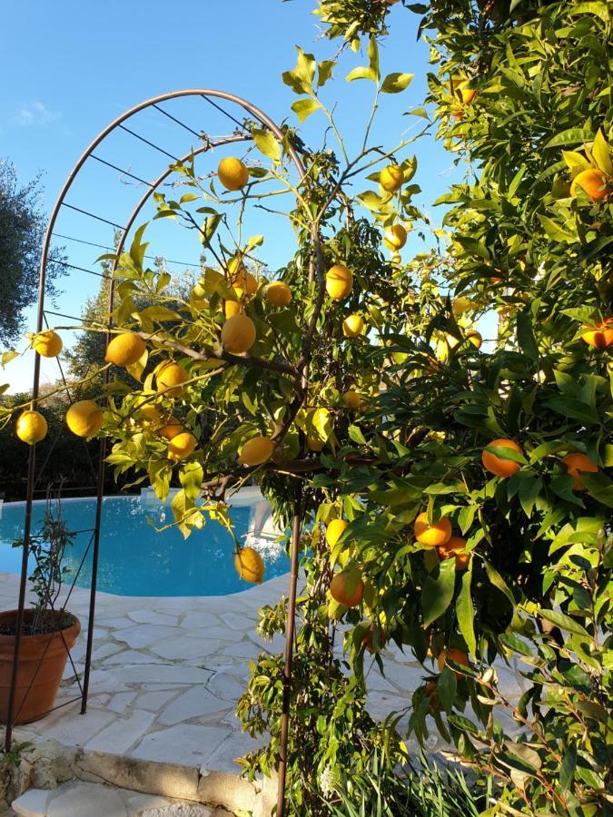 Villa Mia Vence Exteriér fotografie